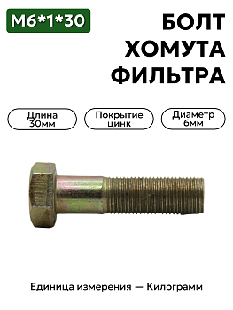 болт м6*1*30 хомута фильтра воздушного зил-5301 201424 п29 в Нижнем Новгороде